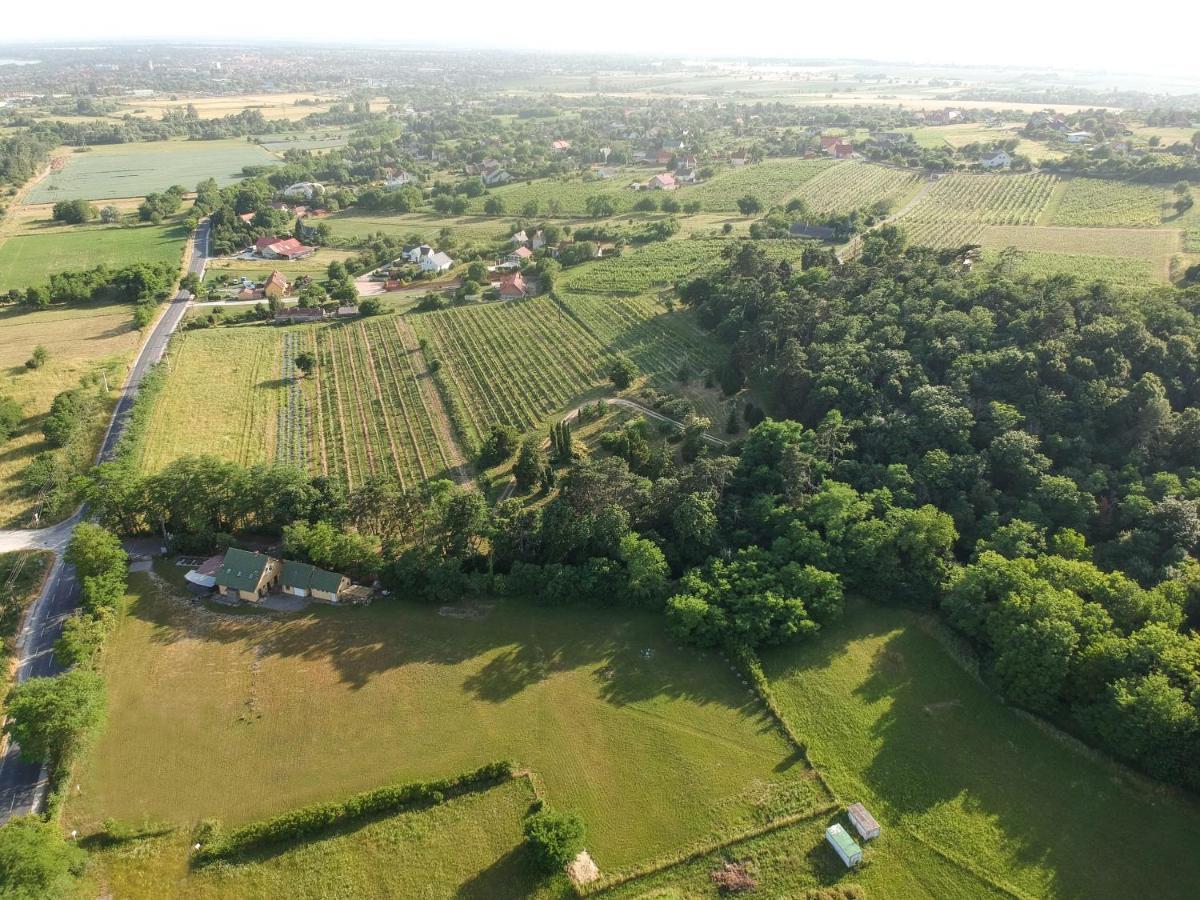 Pilikan Apartments - Park, Agroturism, Vineyard & Farm Черсегтомай Экстерьер фото