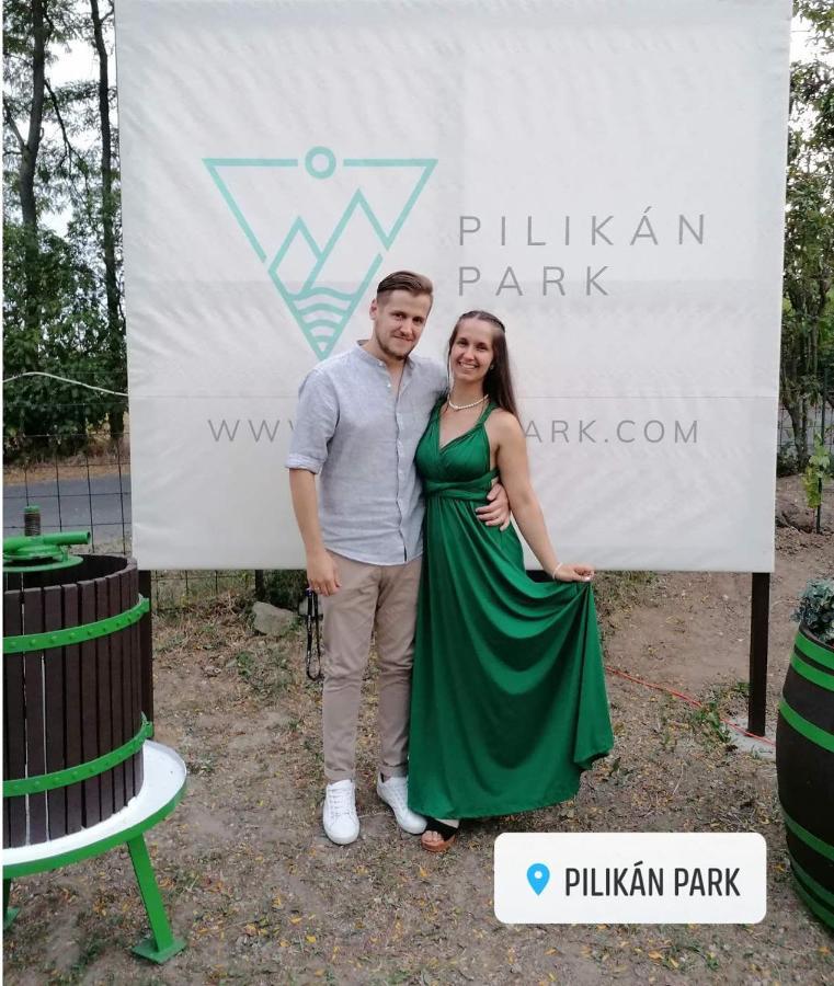Pilikan Apartments - Park, Agroturism, Vineyard & Farm Черсегтомай Экстерьер фото